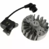 Bobine D'allumage 1e34f-2e-3 + Volant Pour Debroussailleuse Al-ko 1 Bobine D'allumage 1e34f-2e-3 + Volant Pour Debroussailleuse Al-ko -Débroussailleuse Soldes Magasin 11727868 1