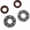 JARDIAFFAIRES Jeu De Joints Et Roulements De Vilebrequin Stihl FS120, FS200 Et FS250 -Débroussailleuse Soldes Magasin 16782446 1