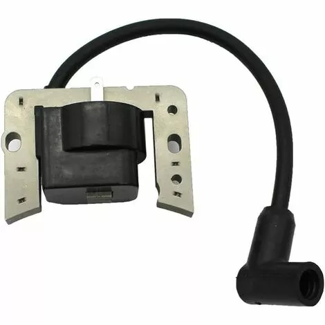 DKSFJKL 34443 34443a 34443b 34443c 34443d Module à L'état Solide Pour Bobines D'allumage Tecumseh Av520 Lh195 Oh195 Th139 Tv085 Tvm140 Tvxl840 Vlv126 Lev100 Lev115 Lev120 Lv148a Ovrm105 3 DKSFJKL 34443 34443a 34443b 34443c 34443d Module à L'état Solide Pour Bobines D'allumage Tecumseh Av520 Lh195 Oh195 Th139 Tv085 Tvm140 Tvxl840 Vlv126 Lev100 Lev115 Lev120 Lv148a Ovrm105