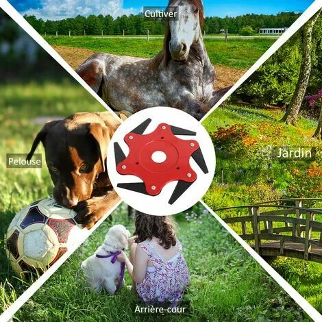 CARILLONSàVENT Tete De Coupe, 6 Dents, Outil De Mangeur D'Herbe Carivent 5 CARILLONSàVENT Tete De Coupe, 6 Dents, Outil De Mangeur D'Herbe Carivent – Image 3