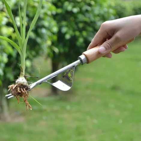 DONTODENT Outil De Jardinage Désherbeur à Main En Acier Inoxydable 2 Stk, Outil De Désherbage Géré Par Extracteur De Mauvaises Herbes Pour Pelouse De Jardin 7 DONTODENT Outil De Jardinage Désherbeur à Main En Acier Inoxydable 2 Stk, Outil De Désherbage Géré Par Extracteur De Mauvaises Herbes Pour Pelouse De Jardin – Image 5
