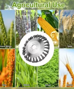 OCXIN Brosse à Désherber, Brosse à Désherber, Brosse à Désherber, Débroussailleuse, Débroussailleuse, Brosse Métallique, Débroussailleuse, Brosse Ronde, Brosse En Acier, Brosse à Joints Pour Un Désherbage Efficace, Tondeuse à Gazon, Tondeuse à Désherber -Débroussailleuse Soldes Magasin 66859591 5