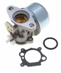 JARDIAFFAIRES Carburateur Adaptable Pour Moteur Briggs Stratton Remplace 499059